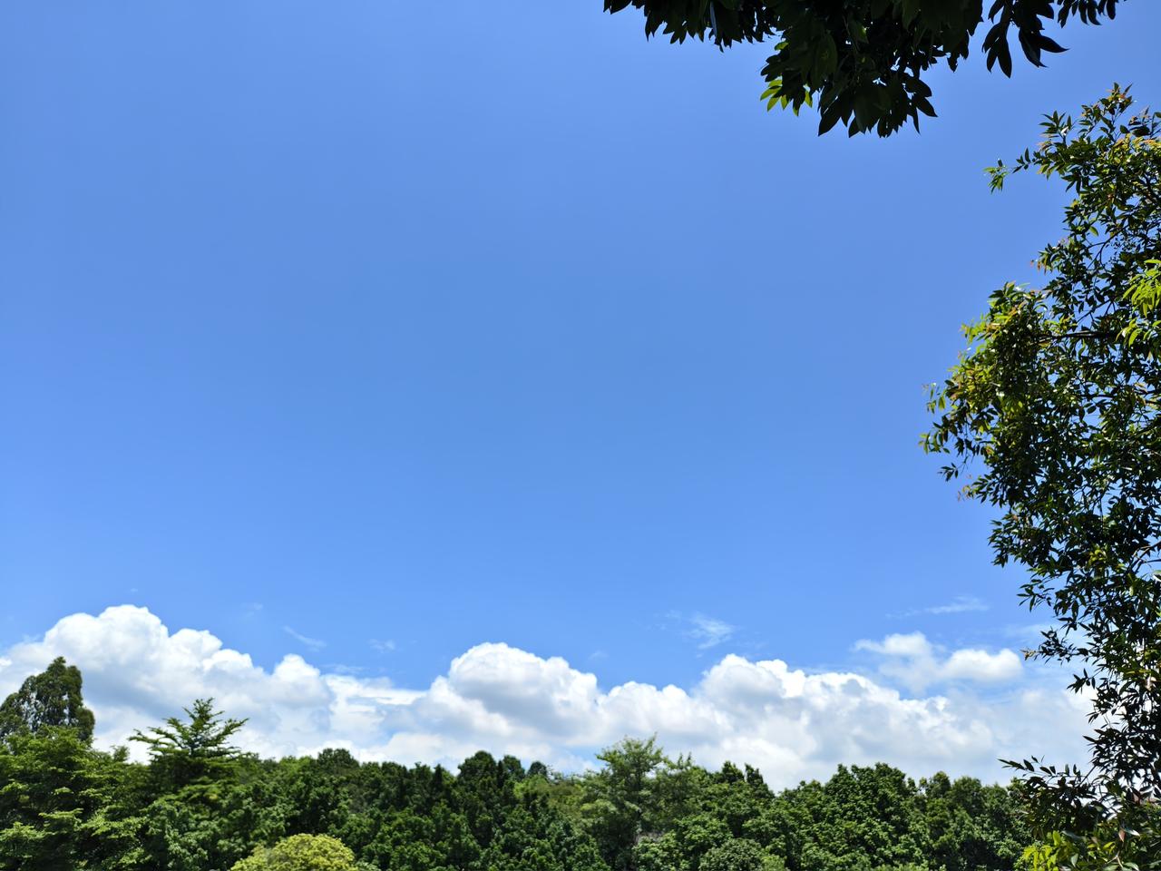 刚刚看到的《兜底》一段话，和大家分享一下。
不要期待任何人能成为你的靠山，父母都