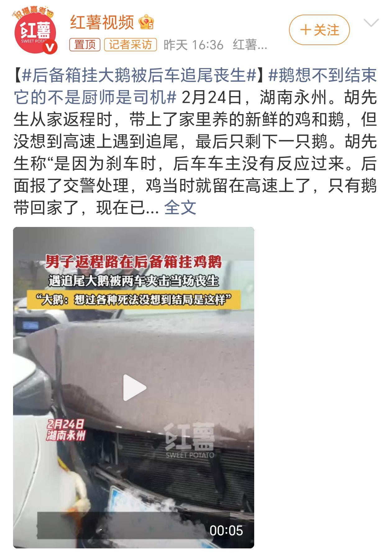 后备箱挂大鹅被后车追尾丧生之前担心的事还真的发生了，每年都会看到类似的返程在后备
