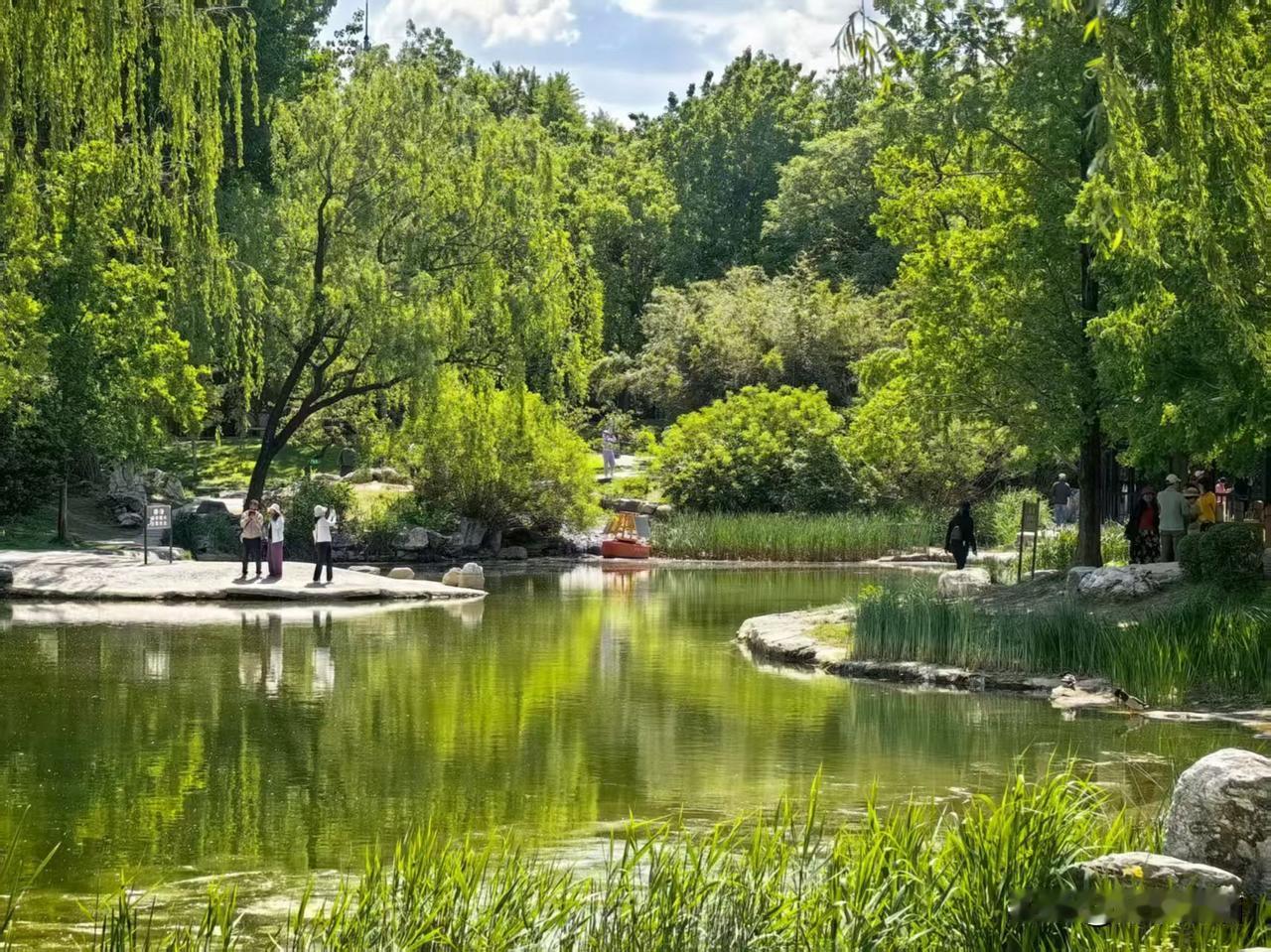 北京春意盎然（六）
根据网上提供的信息，选择晴朗的天气，我乘地铁来到了“陶然亭公