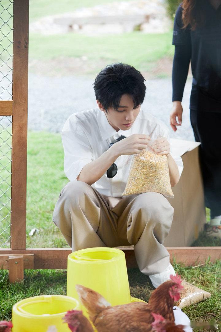 焕蓝梦想基金  人世间万物皆是虛幻的，都是一样的。生命的本源也就是生命的终点，结