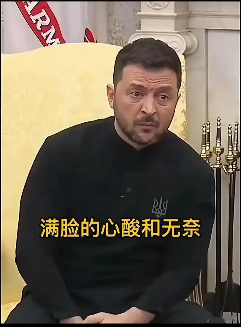 泽连斯基极其"正确"把成功把自己从"喜剧演员"迭代成"军援管道首席营销官"。在5