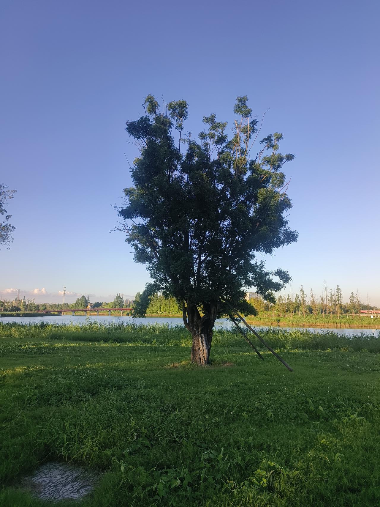生命里出现了一个非常喜欢的人，最终没有在一起，这种相遇是一种恩赐，还是一种劫？