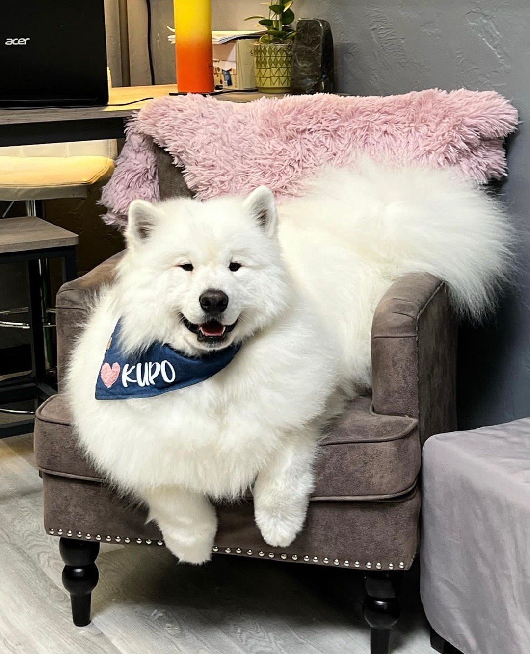 耶之大，一个沙发装不下 