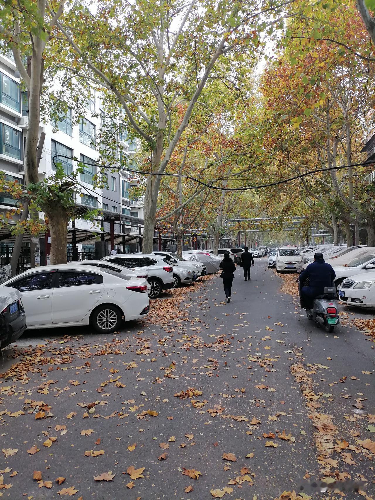 【这样的小区收费如何？】这是处于郑州城中心的老旧小区，经改造后，现在的小区，用物