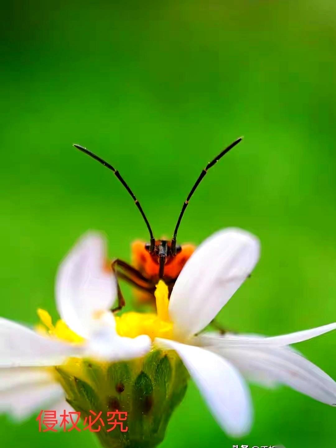 想在这个位置把我洗出去？
让我把底下抄来的、高点追来的那些带血的筹码，乖乖交出来