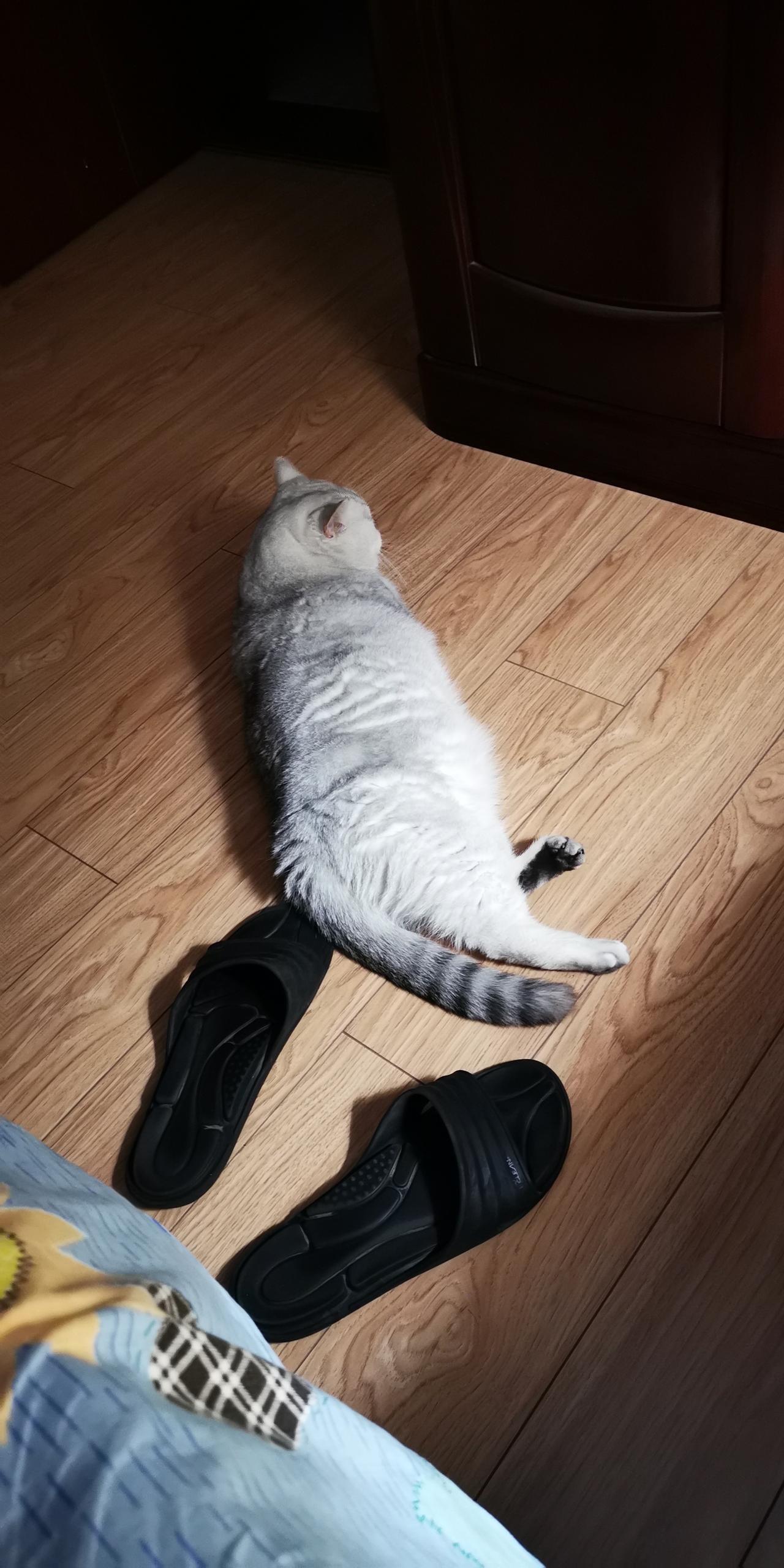 窗外还是一片漆黑，就被声声不断的鸟鸣给叫醒了，这就是春天。
打开灯看表，四点半，