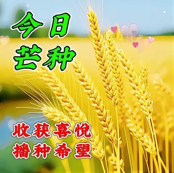 6.5日🌹🍎芒种早安♥️🌹
播种希望，收获美好！愿我们：一切美好如约而至，