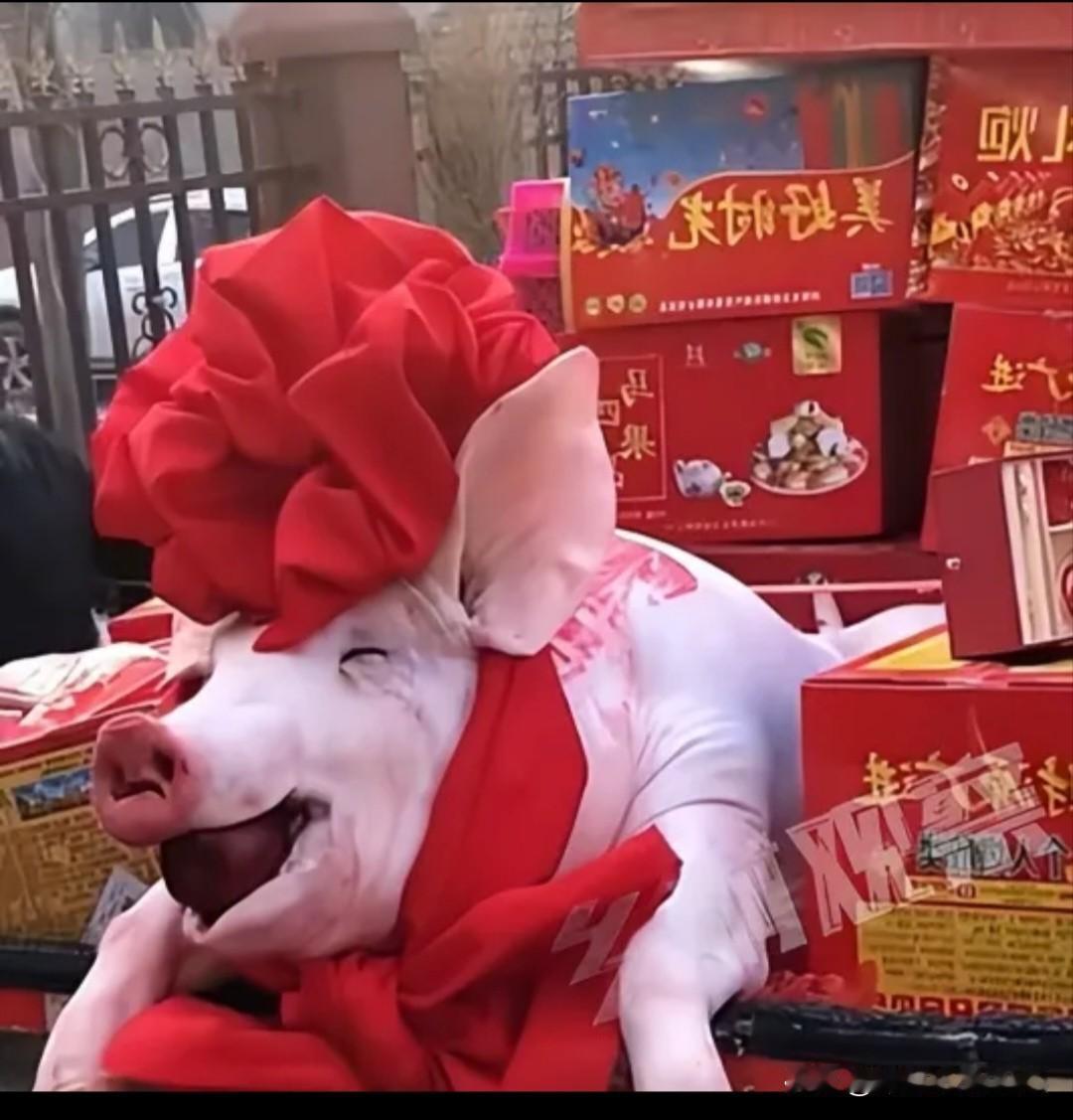 河南农村，现在结婚已经堪比“宰年猪”了；各种花费动辄需要近百万，结的起的能有几人