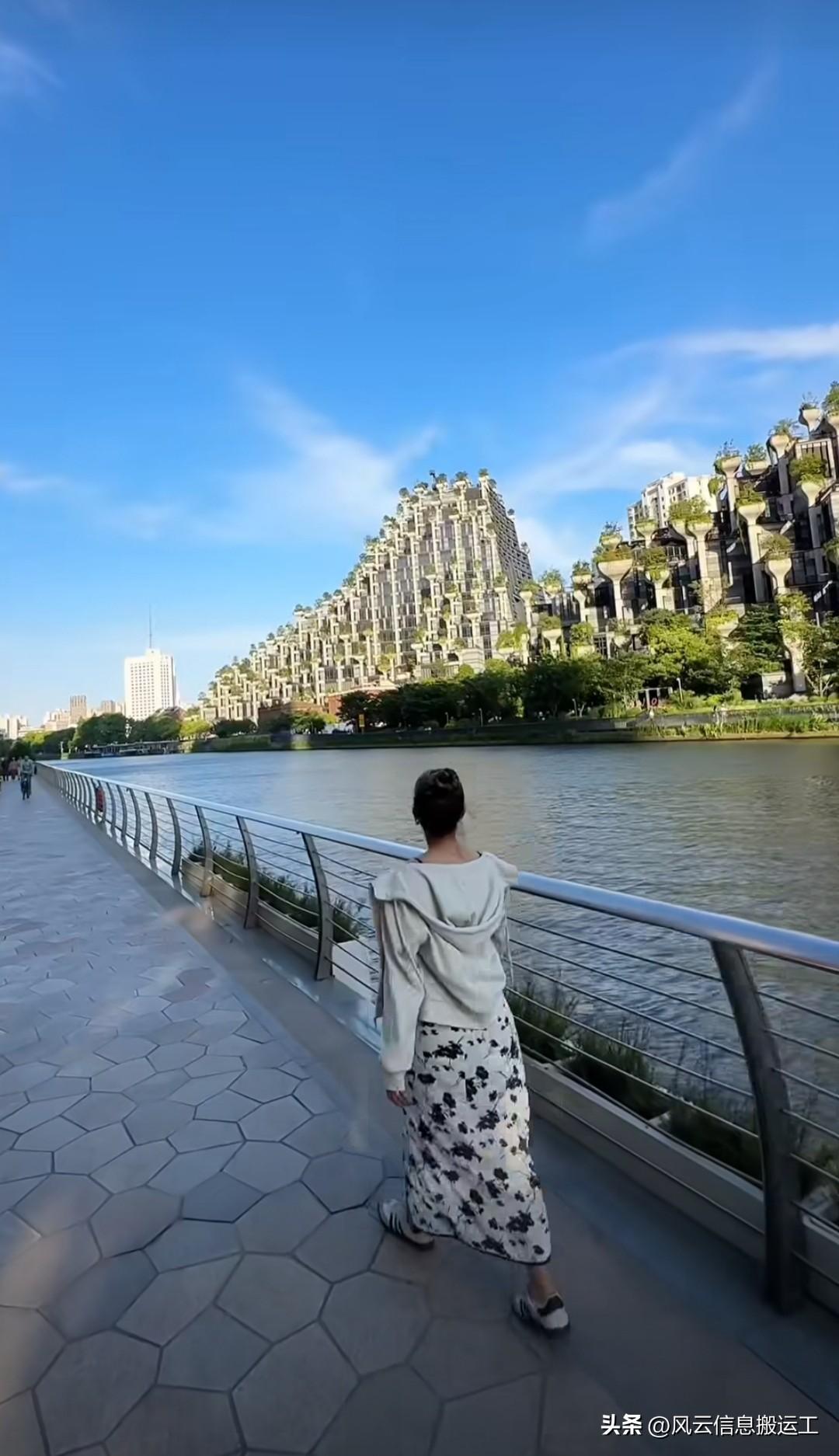 上海的天安千树在外网火了，成了很多外国人必去的打卡点之一！
