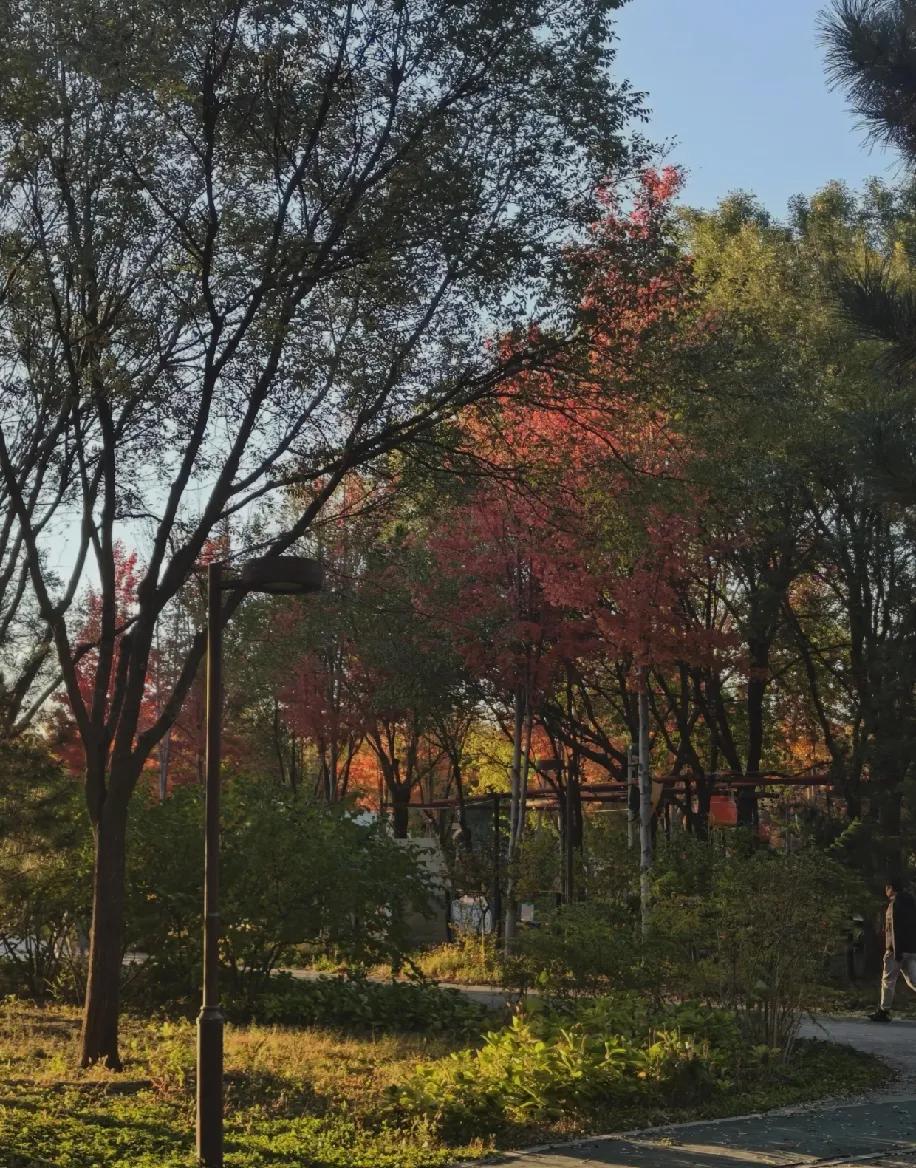 和老同学聚，聊着买房养娃的家常，突然听见两个熟悉的名字，都因病走了，还有个是生娃