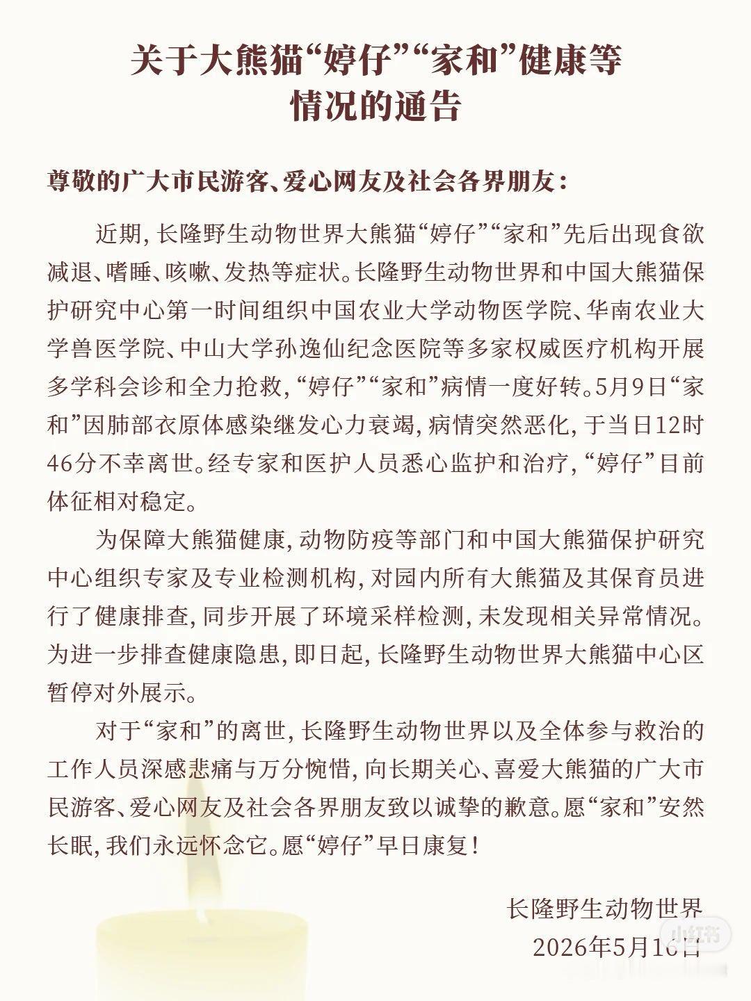 妹猪的爸爸，锦心的大儿子，家美震生的大哥哥没了💔。还没到11岁。 