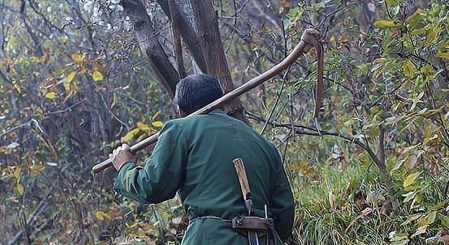 1986年4月的一天，捕蛇能手程地明因为心情不好，直接打死了一条红脖颈槽蛇，准备