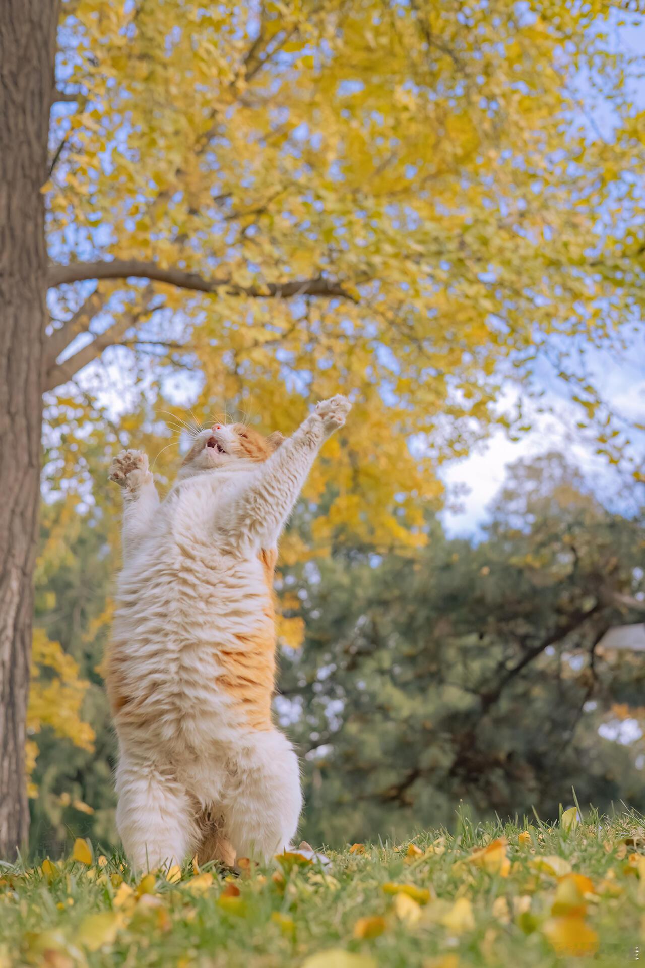 能让一个女人上瘾的永远不是多有钱，而是在他身上的真诚、踏实、责任担当和细节，还有