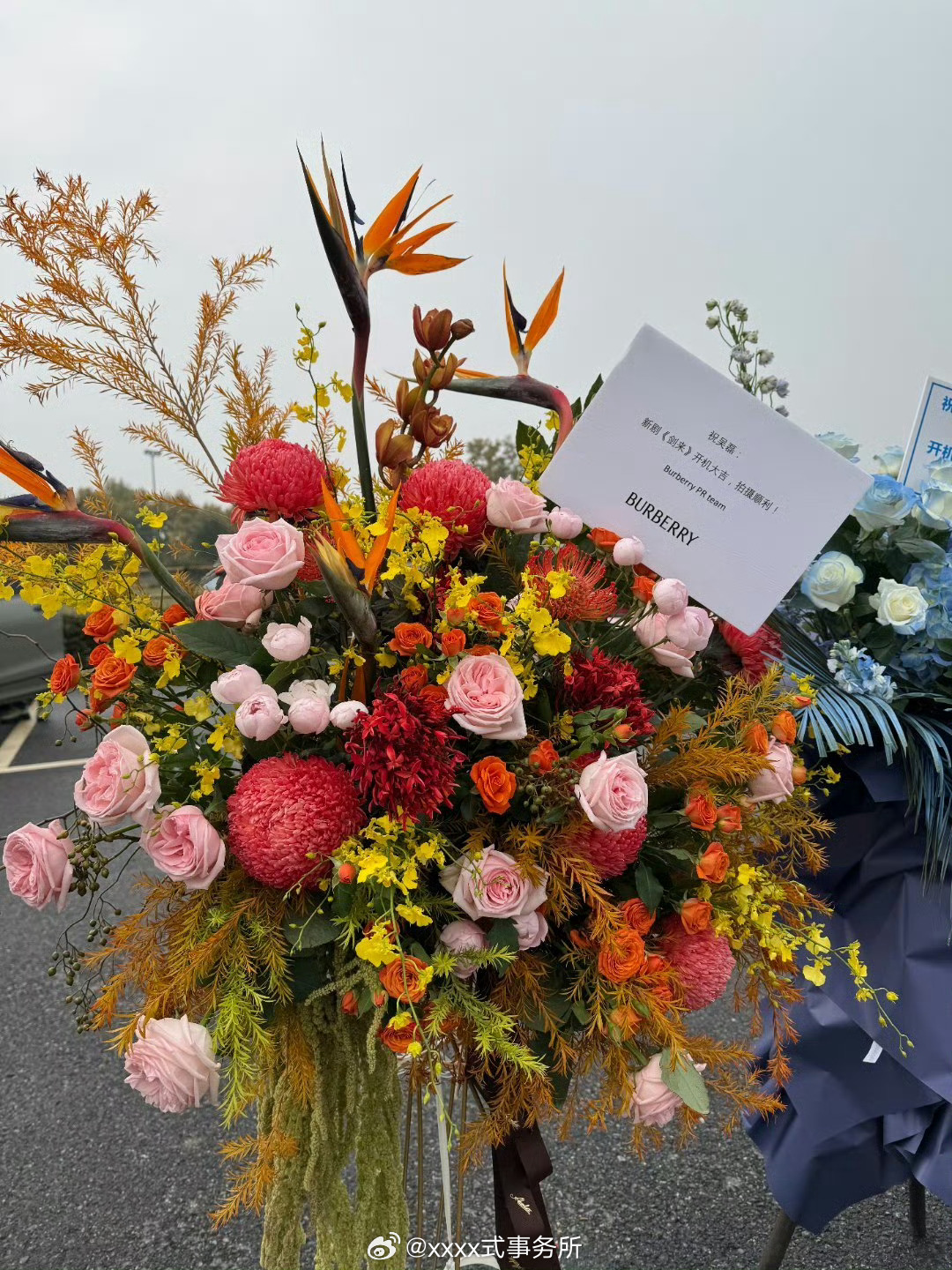 吴磊《剑来》开机应援，部分代言品牌全球高奢、国民快消、餐饮巨头等给送来了开机花篮