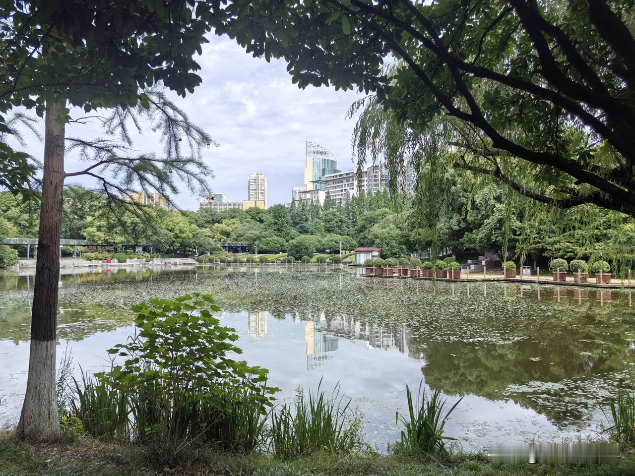 前不久的一个午后，突然接到久不联系的一个高中同学的电话，什么事呢？说是要请我帮忙