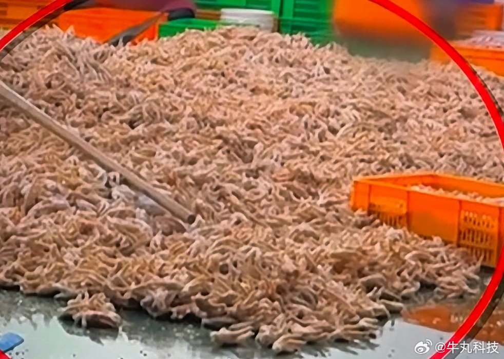 我的天，315晚会第一个曝光的就是我的天命爱好！敢情这些年我吃的都是双氧水鸡爪啊