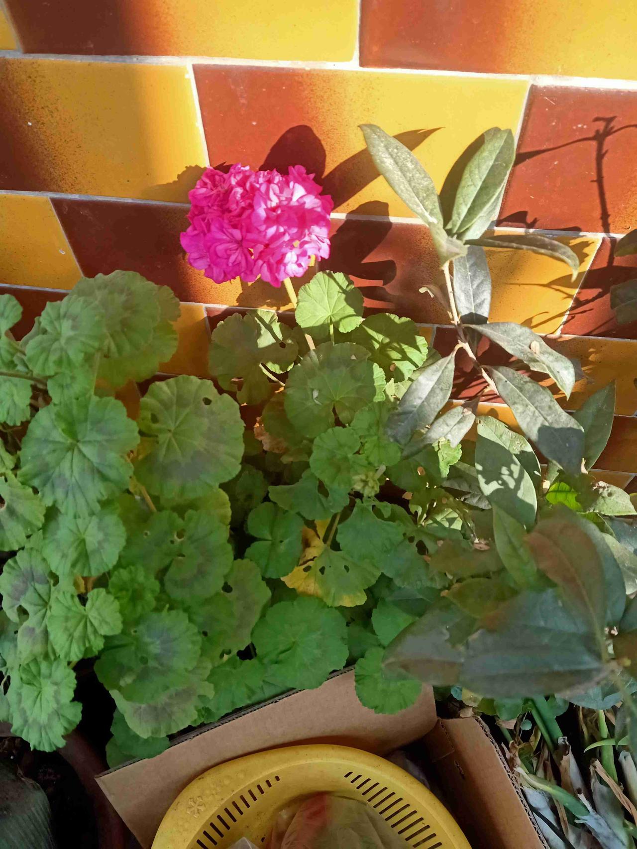 我的今日状态：💪🏻充满干劲
我这里的天气：🍂微风