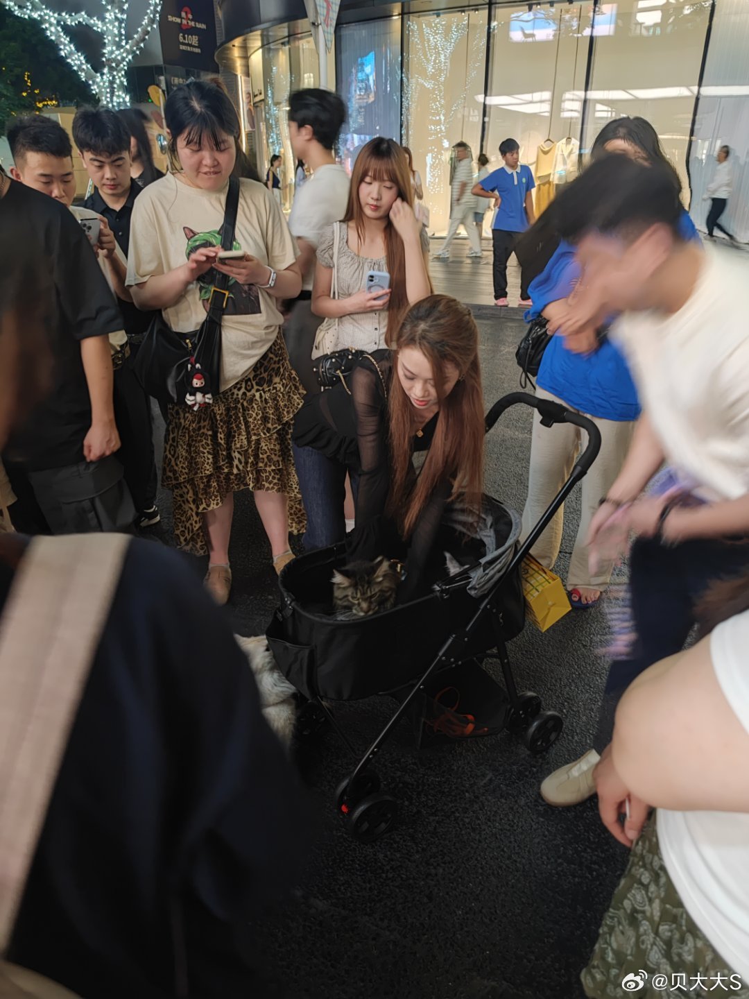 狗狗交友活动 深圳·华润城万象天地