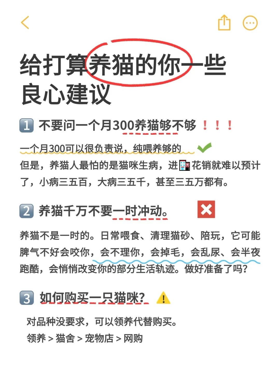 过来人忠告：给养猫新手的10条建议！#有了小猫加持的健身完全停不下来##你见过和