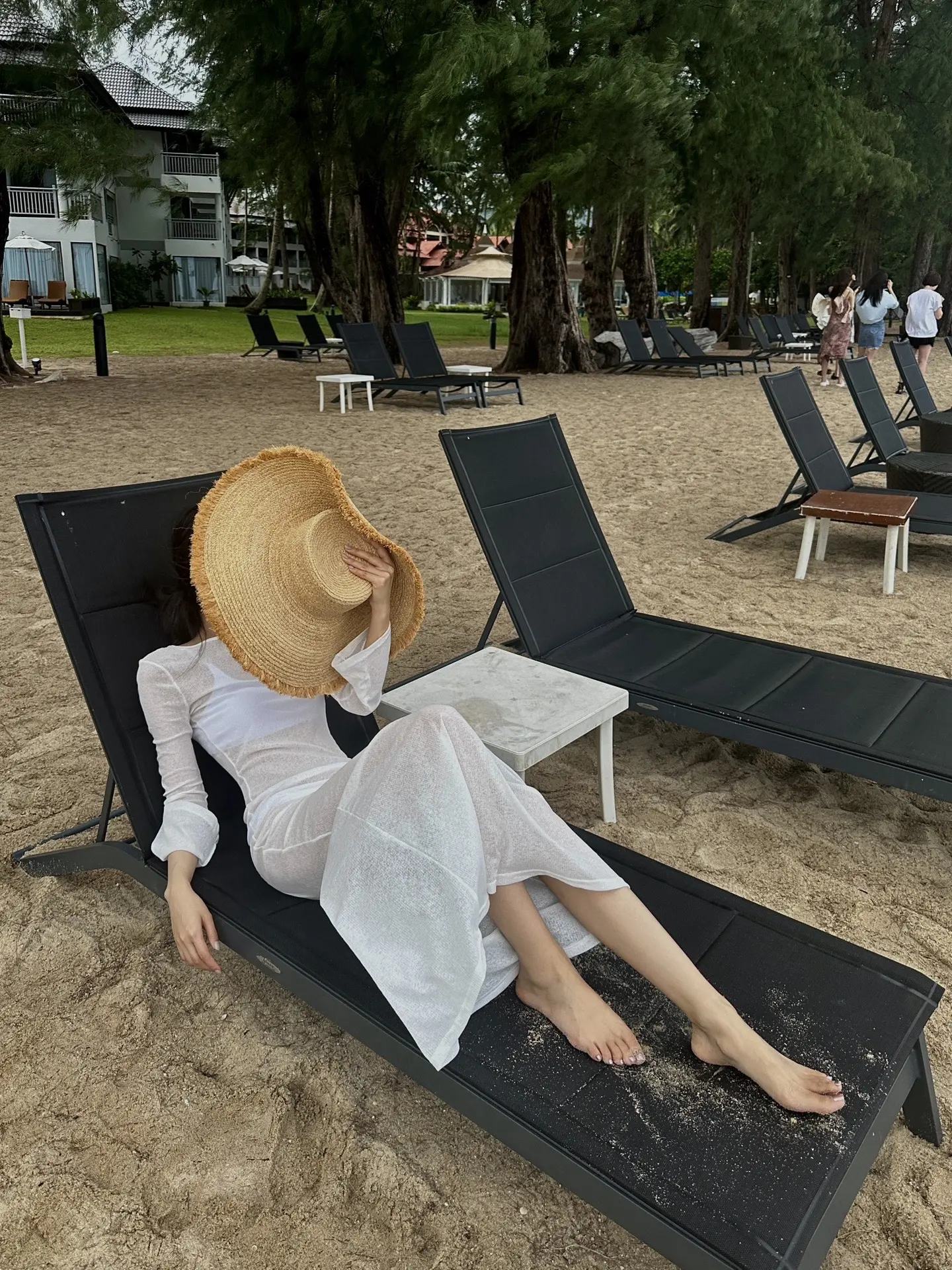 失约的海自己去看