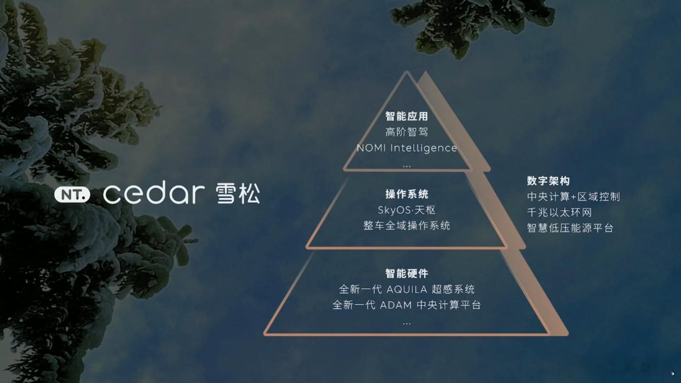 蔚来ET9的智能系统，命名为cedar 雪松。目前蔚来已经有Alder·赤杨、A