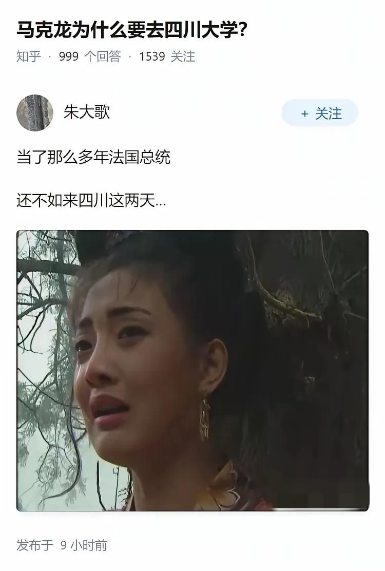 这配图，绝了。[捂脸]