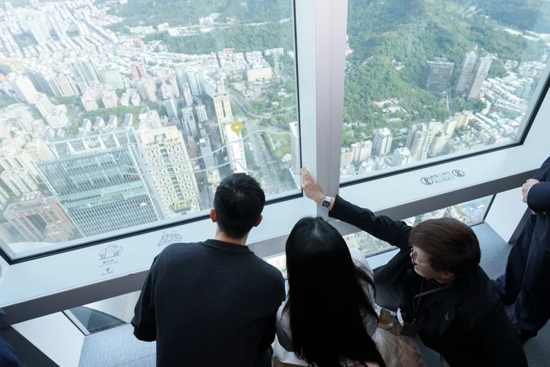 真跟小猫一样[求关注] 