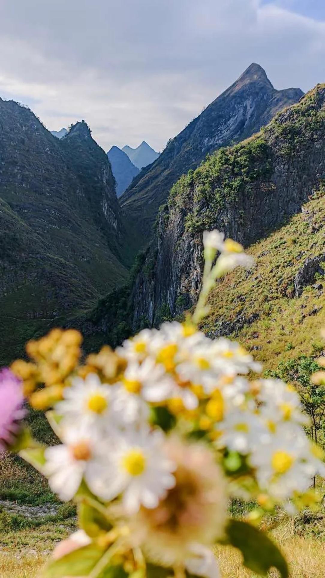 能收到山东省诸城市家乡政府领导的慰问，我着实为青岛市潍坊商会拥有林夕宝会长这样能