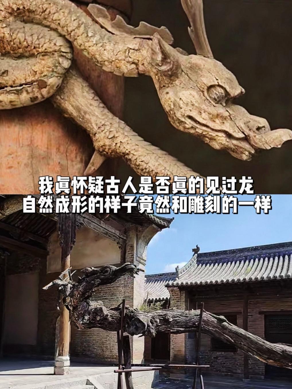 我真怀疑古人是否真见过龙，不然怎如此像…山西北宋晋祠的木雕盘龙，有着独...