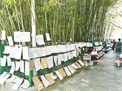 路过郑州绿城广场相亲角，你会叹息和愕然！一帮六七十岁老人在为90后子女寻觅对象！