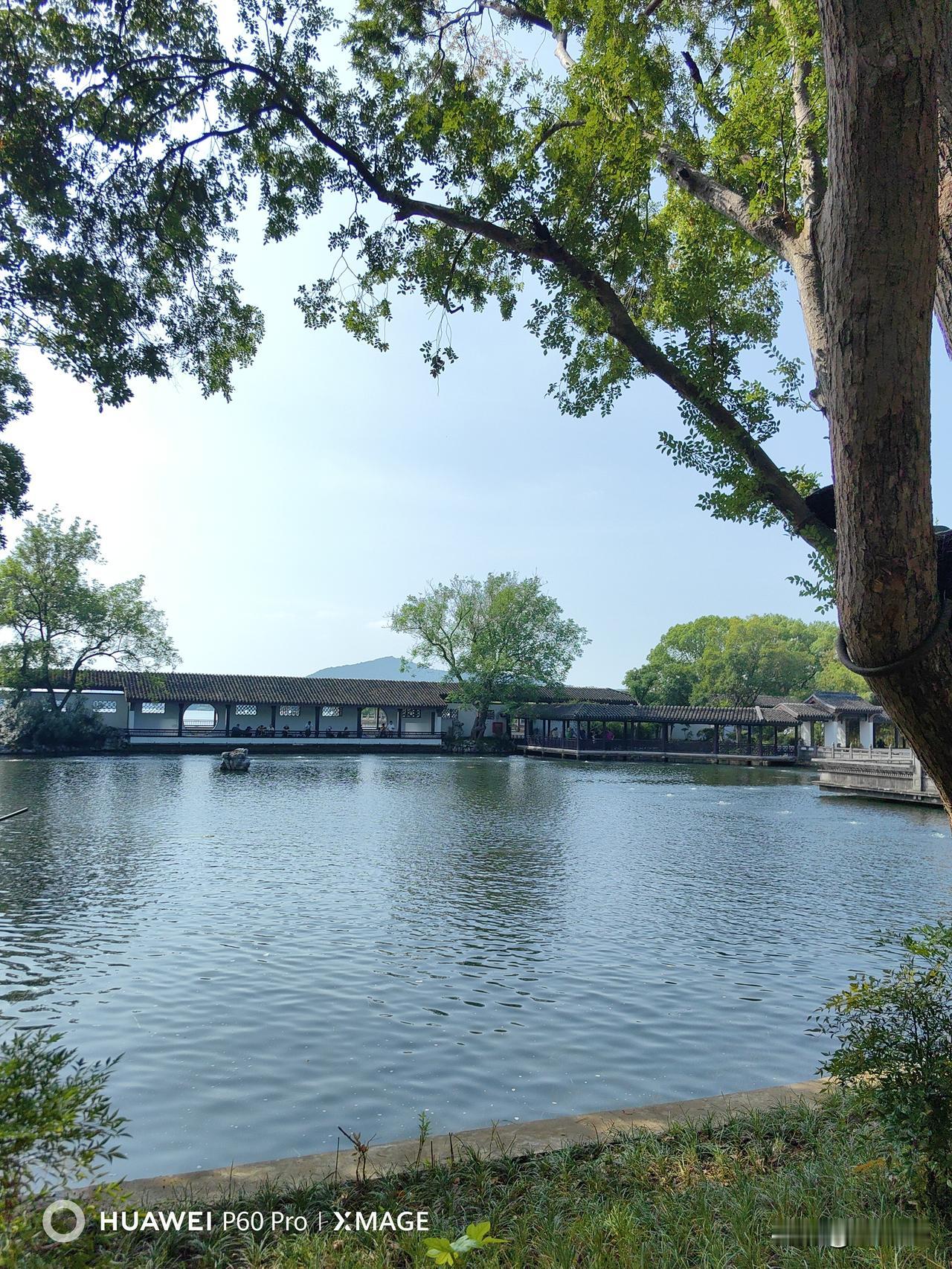 想要变得淡定从容，核心是稳住心态与节奏。遇事先深呼吸慢半拍，不急于表态；降低对不