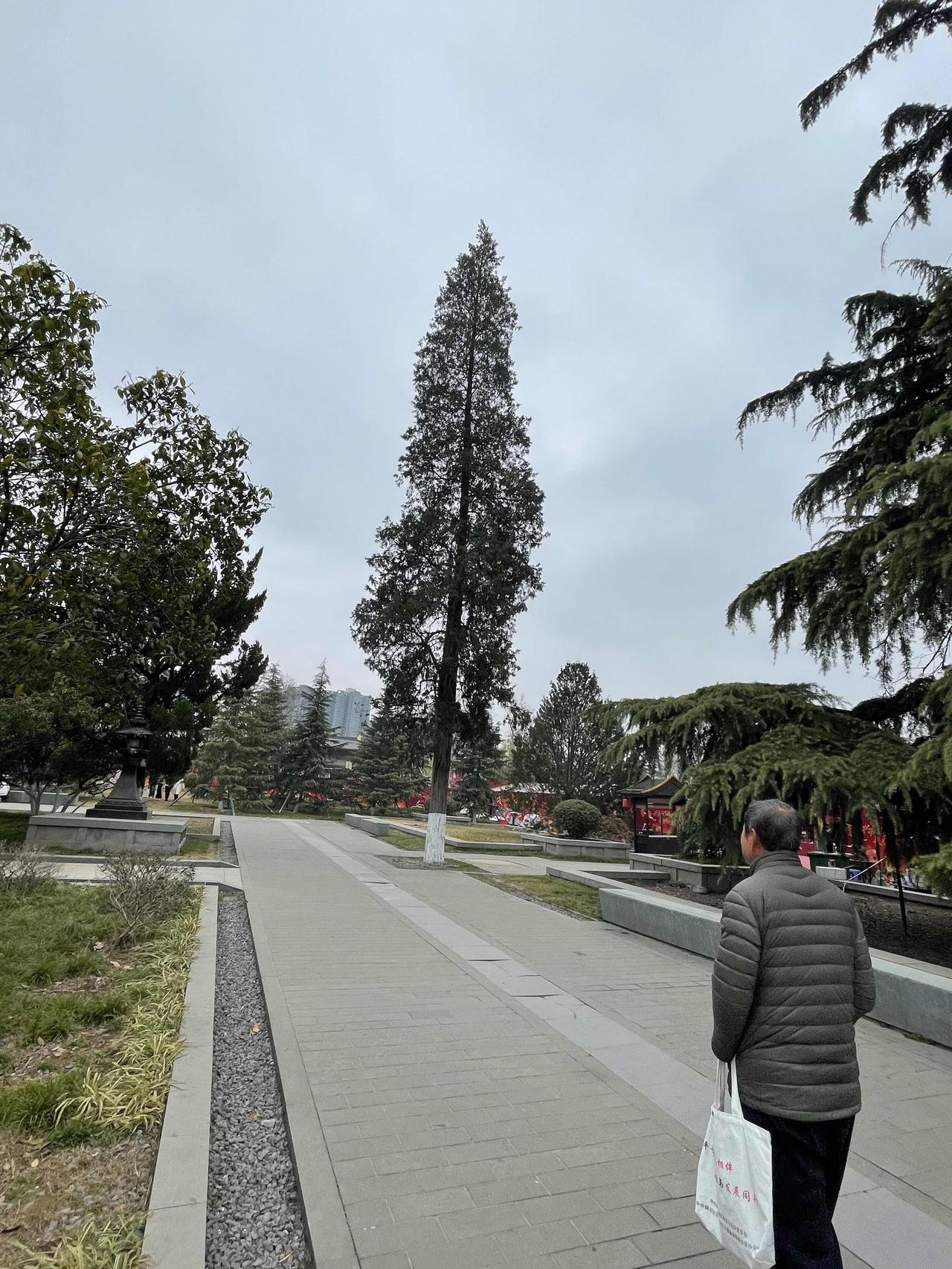 我也想全国各地都走走看看，感受不同的风景与人文！可惜暂时实现不了，最想去云南转转