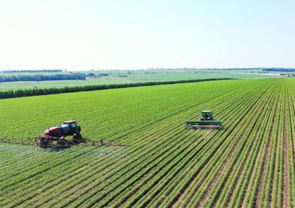 几百亿斤粮食说不要就不要？数万名官兵和农民辛苦开垦半个世纪，能养活一亿人的中国粮