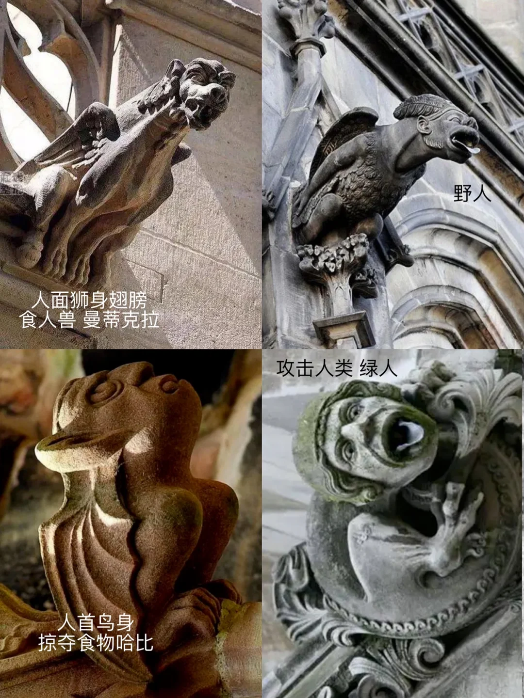 抬头看！教堂上有怪兽！哥特建筑的荒诞设计