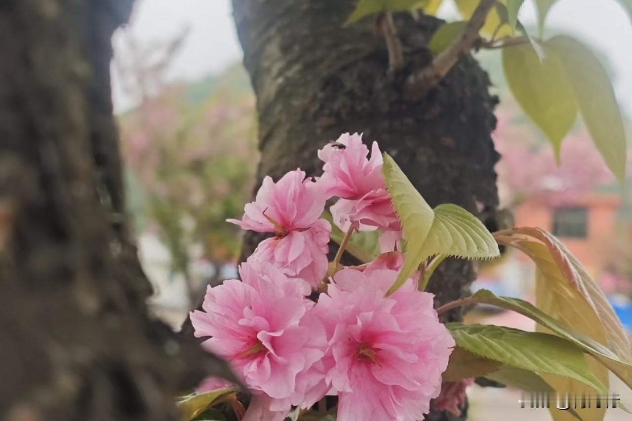 人活着 拼的就是心态
 
少纠结过往
不焦虑未来
安稳过好当下就很好
 
不和他