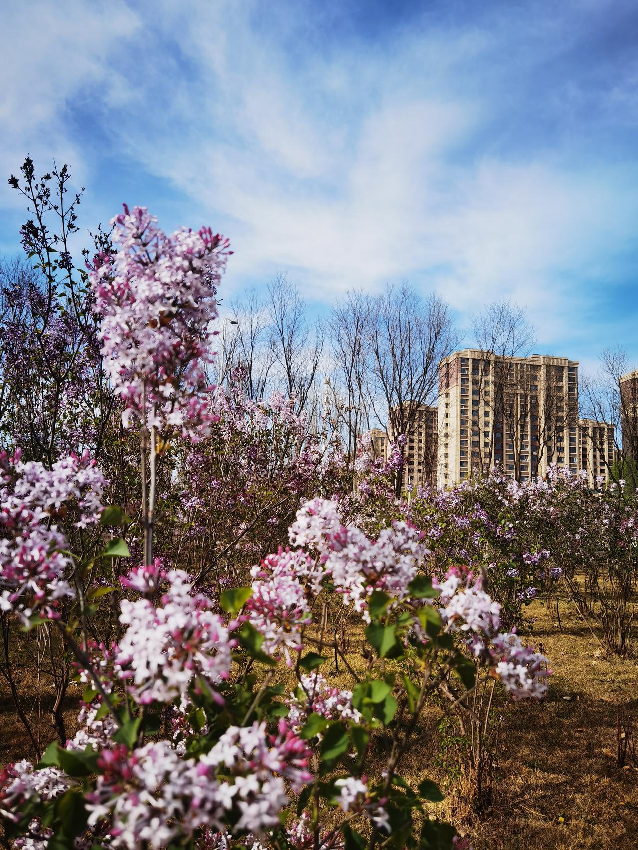 历史是螺旋式状态向前发展的，人生何况不是呢？有高潮有低谷，有快乐有痛苦，要保持积