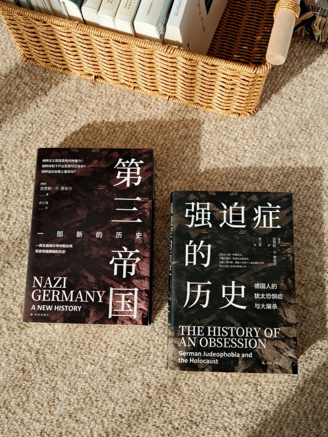 迄今为止最好的纳粹德国史，全面&权威
