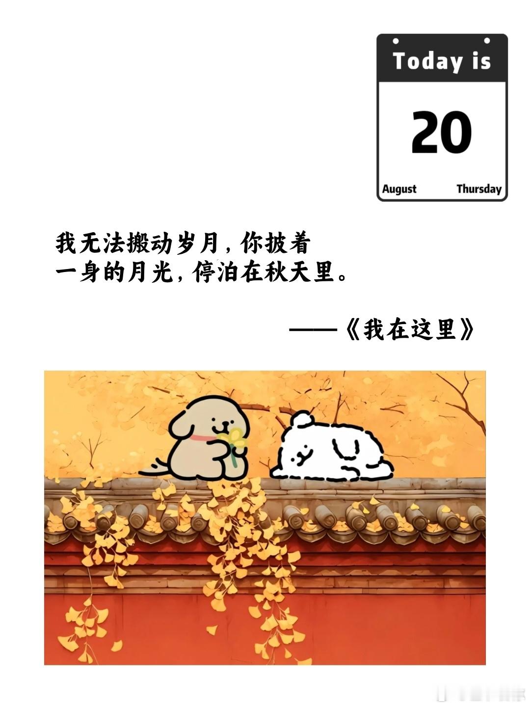 我无法搬动岁月，你披着一身的月光，停泊在秋天里。——《我在这里》 