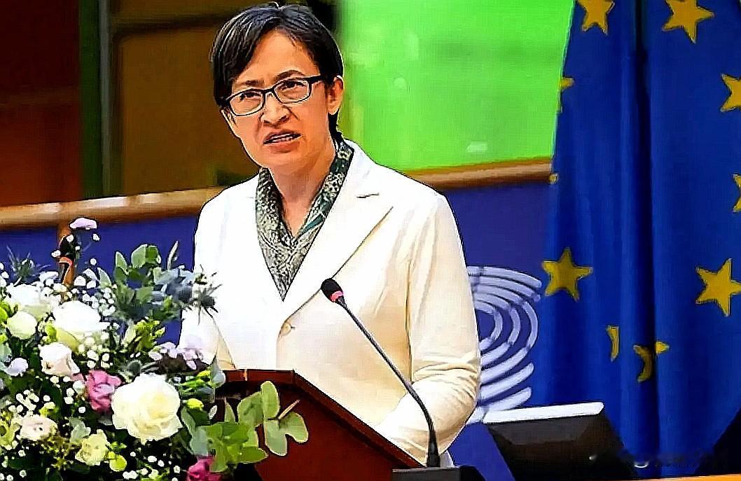 欧洲议会为什么会如此失智？“台独”分子萧美琴注定是破坏中欧关系的搅屎棍，让欧洲的