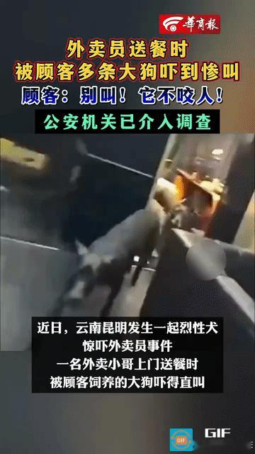 “我家狗不咬人！”云南昆明，一外卖员给顾客送餐时，被顾客的三条大狗吓到尖叫。而顾