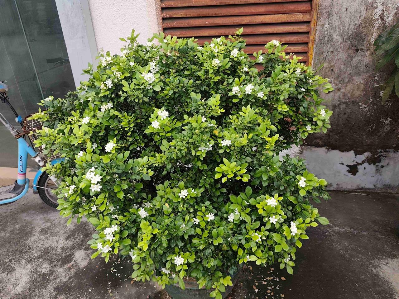 我的今日状态：😁轻松愉快
我这里的天气：🌤️多云
7月10日，厂里办公室门的