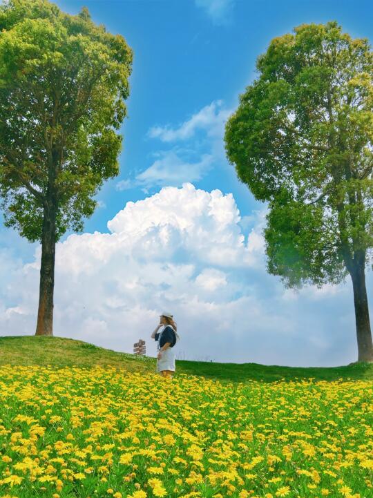 误入现实版莫奈花园！昆明周边宝藏度假地🏕