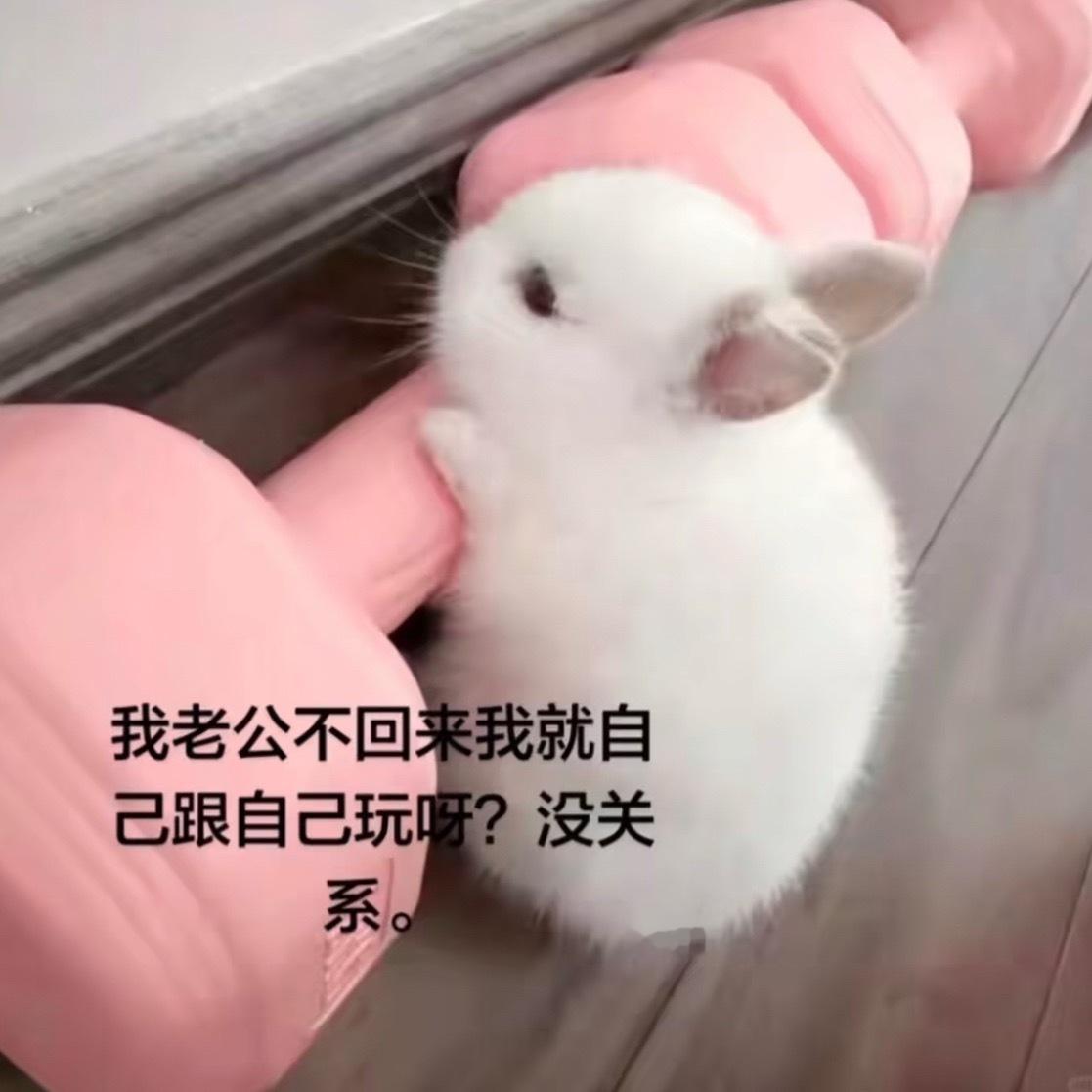 分享图片 
