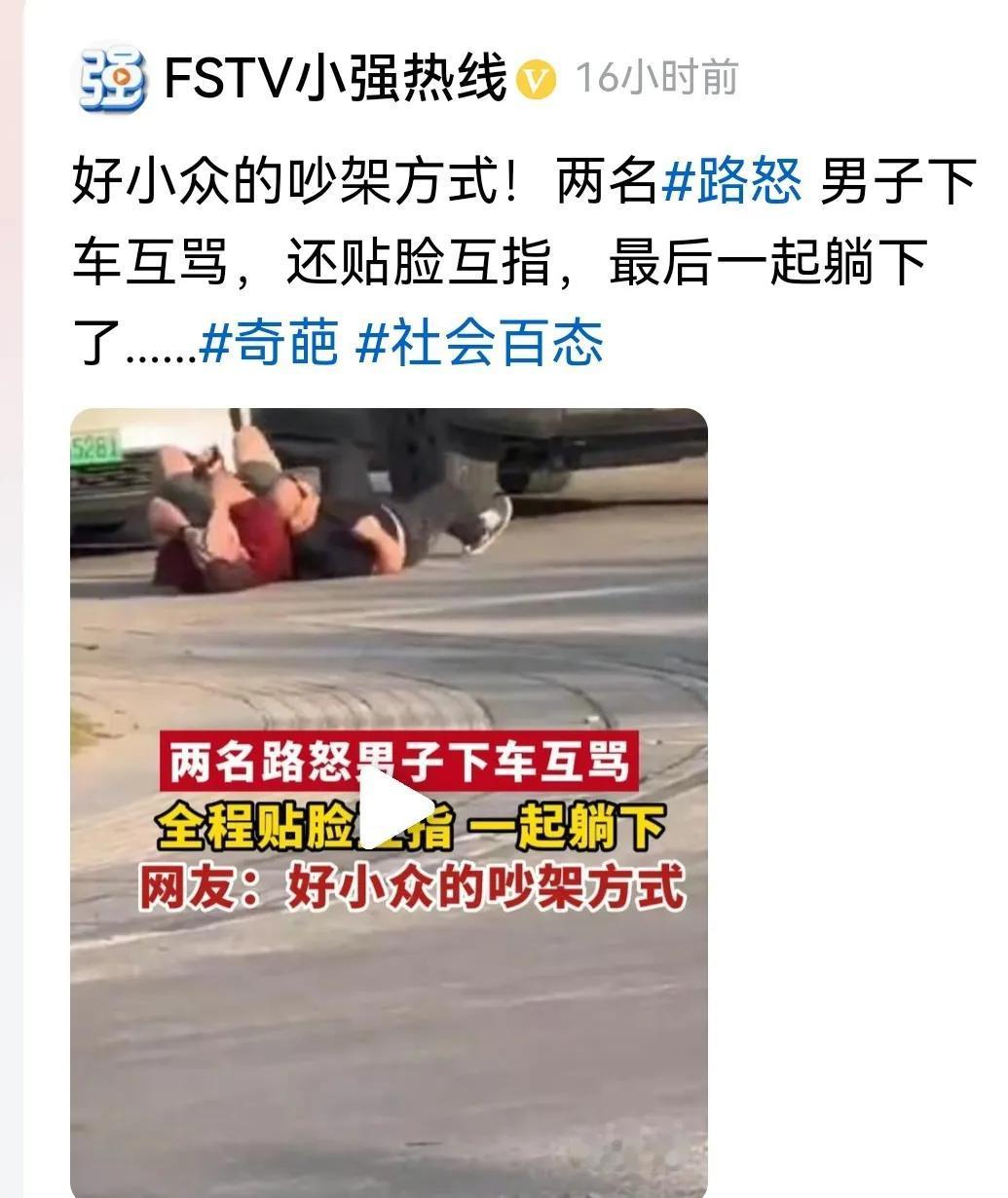 #两路怒司机对骂冲撞后一起躺下了#
好“文雅”好有“诗意”的对骂与对视，只能写首