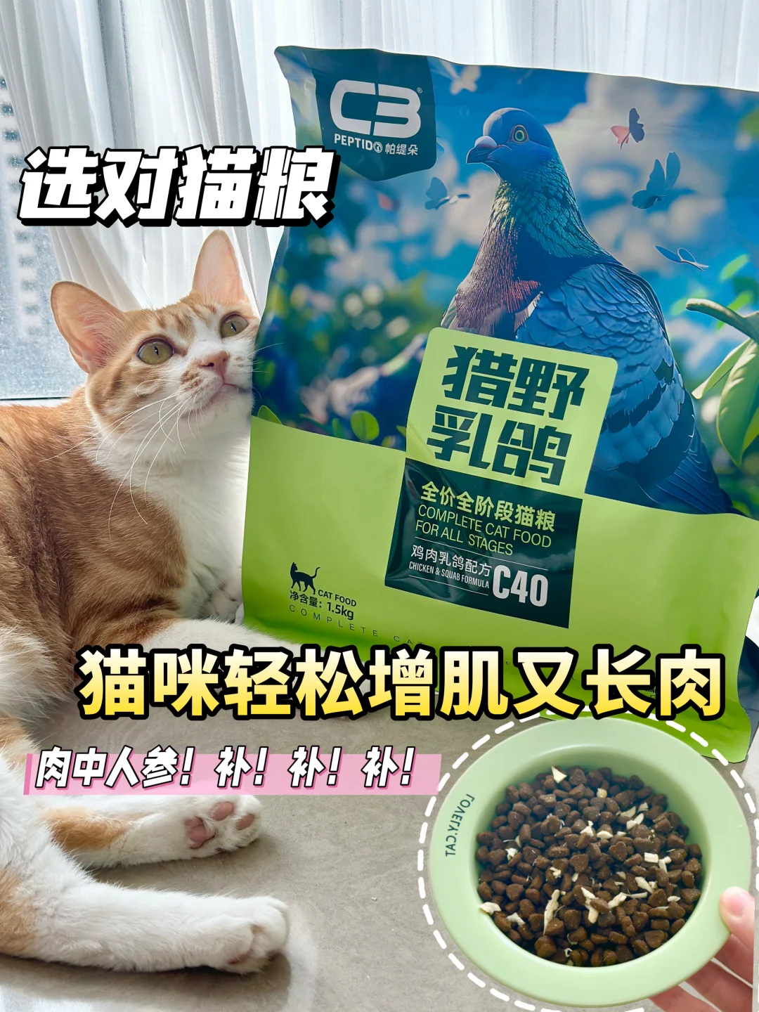 选对猫粮，猫咪轻松增肌又长肉~
