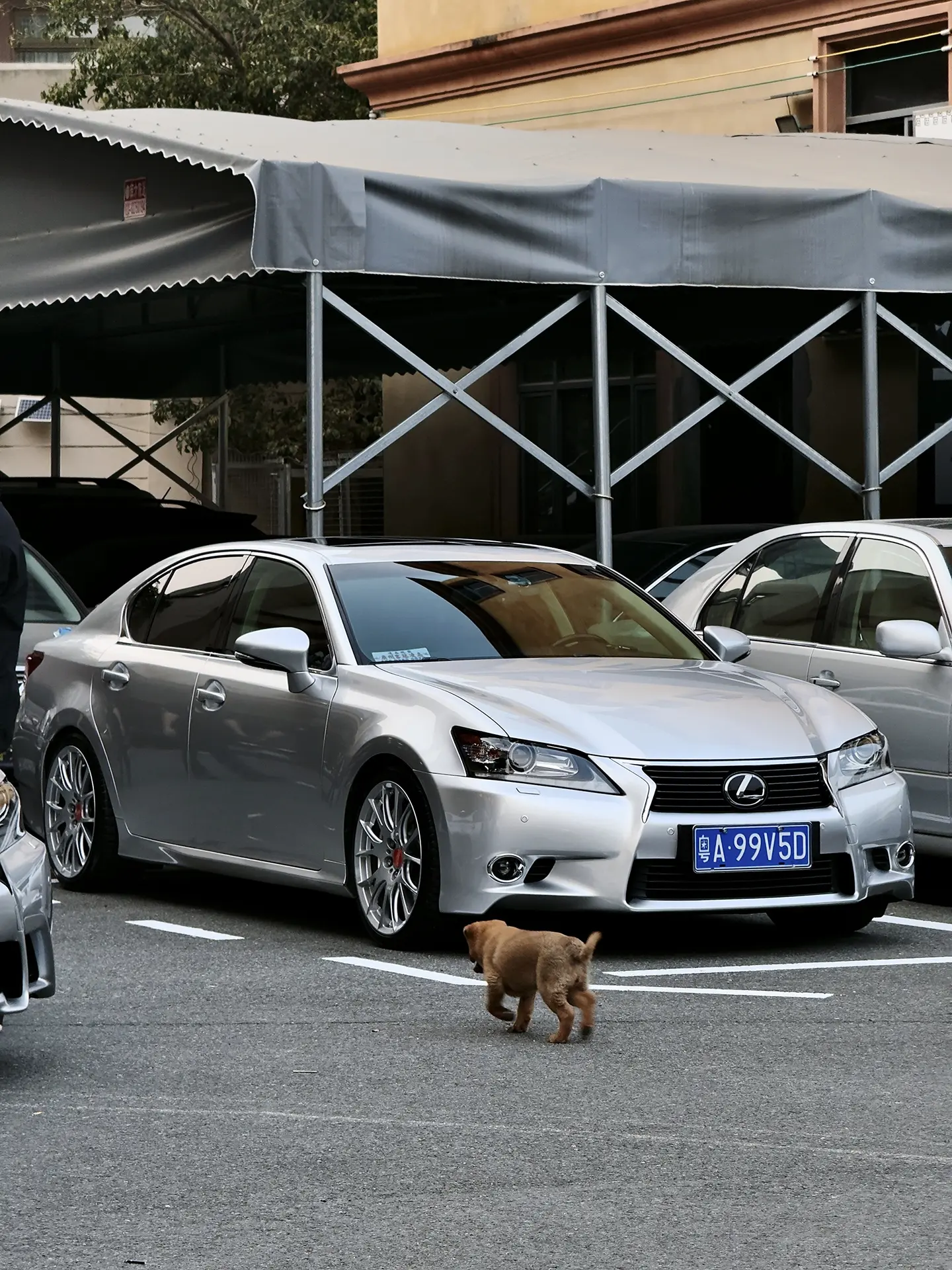 人总是执着于第一眼就心动的东西