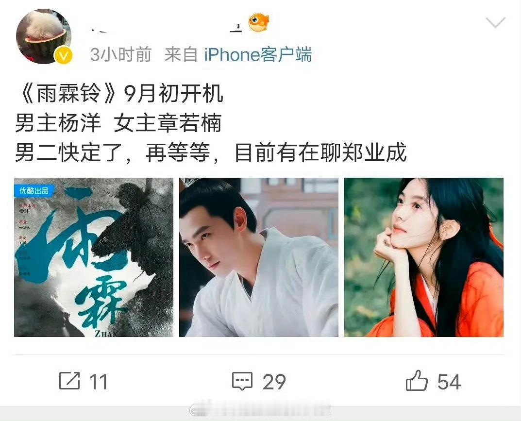 #杨洋章若楠或将主演雨霖铃#哟哟哟哟哟，不得不说没想到杨洋要和章若楠合作电视剧了