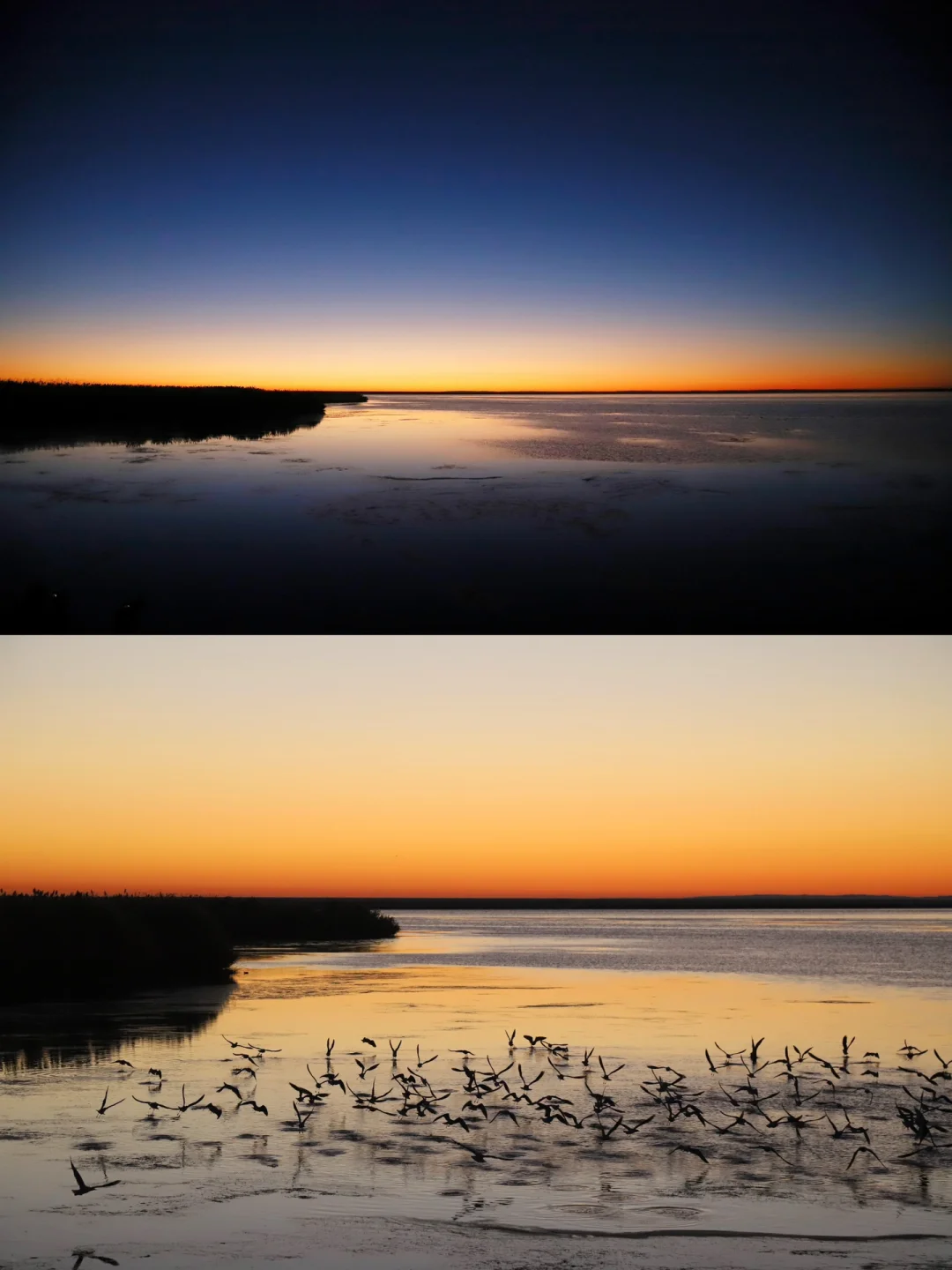 只美20天！国家地理推荐的内蒙古胡杨林秋景！