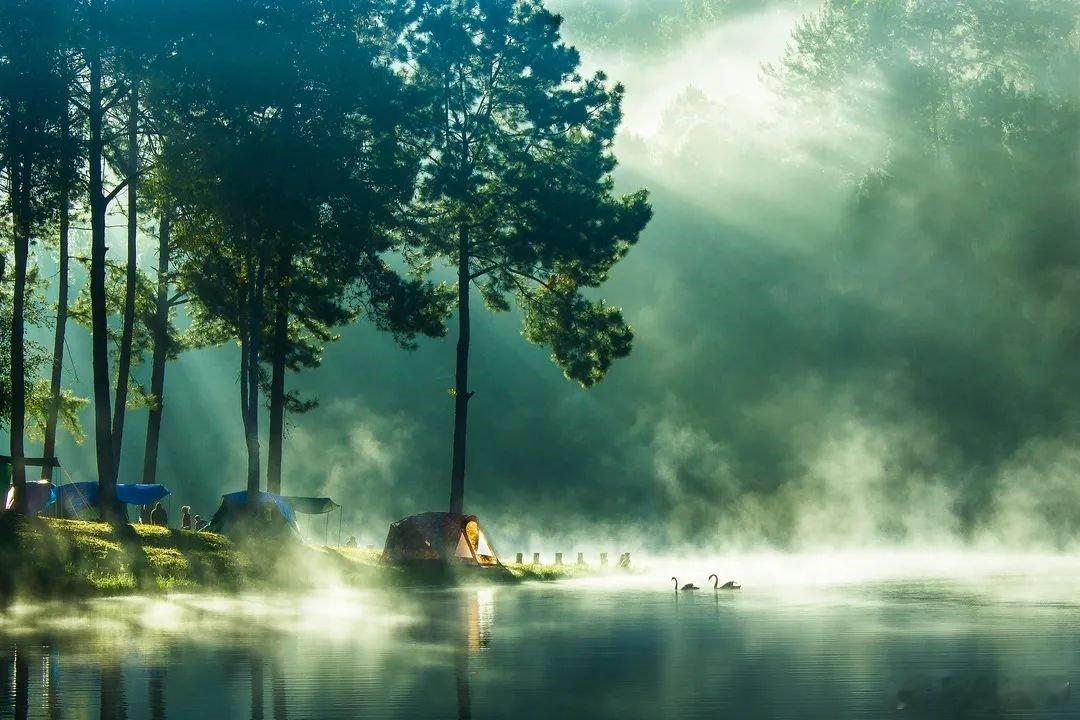 你靠近谁，关注谁，和谁经常在一起，你们就共享着一种看不见的能量场，彼此影响，福祸