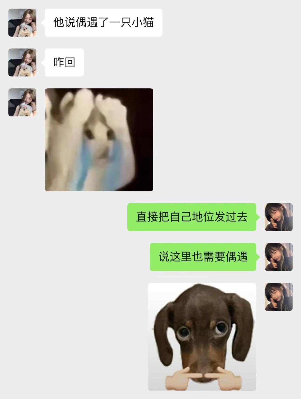 当单身多年的闺蜜遇到了crush 聊天技巧 crush